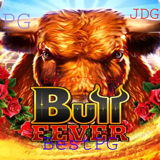 BullFever: Descubra a Emoção do Novo Jogo Sensação
